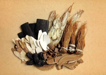 حشيشة الملاك الصينية