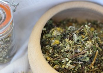 فوائد الشيح وأضراره 