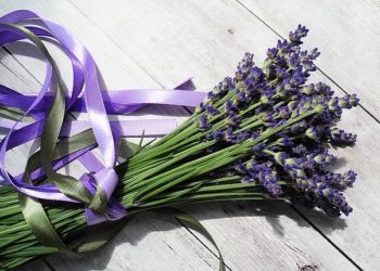 فوائد زيت اللافندر للرجال: 3 فوائد عليك معرفتها