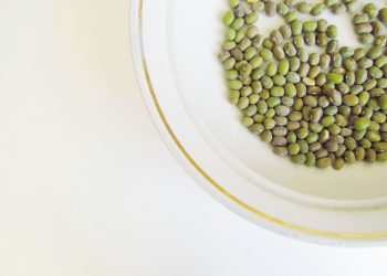 فوائد الماش للمرأة