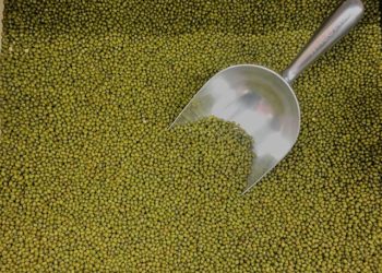 فوائد الماش للأطفال