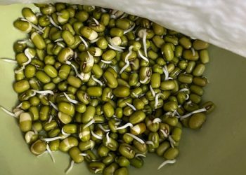 فوائد الماش و أضراره 