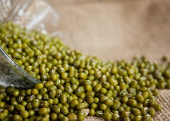 فوائد الماش