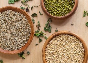 فوائد الماش للتنحيف 