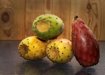 فوائد التين الشوكي لمرضى السكري