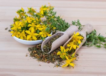 فوائد عشبة القديسين للجنس