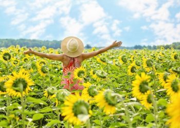 فوائد بذور عباد الشمس