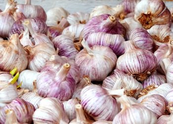 فوائد الثوم للجنس والرجال