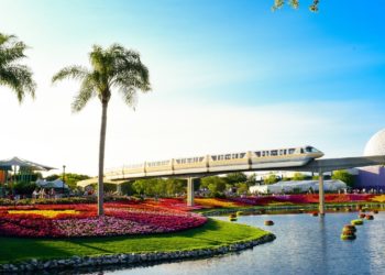 طقس فلوريدا على مدار العام