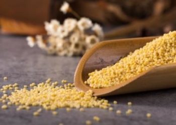 فوائد الدخن للشعر