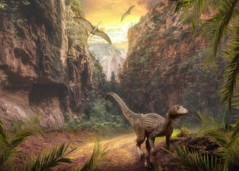 معلومات عن الديناصورات