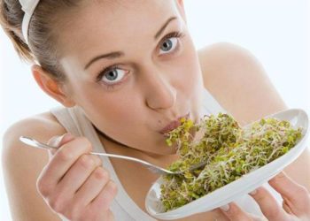 فوائد الحلبة للرحم