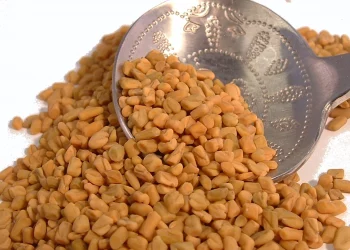 طريقة الحلبة للتسمين