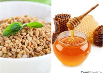 فوائد الحلبة مع العسل 