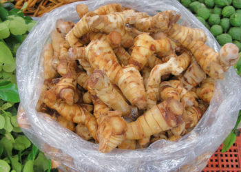 فوائد الخولنجان للرجال 