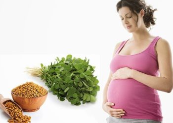 فوائد الحلبة للحامل 