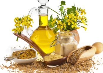 فوائد الحلبة للصدر