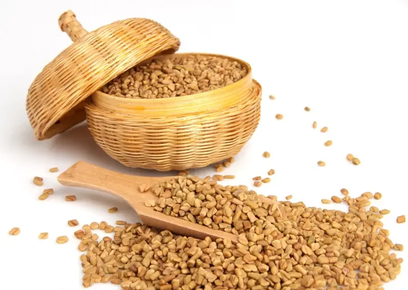 حبوب الحلبة للسمنة والتسمين