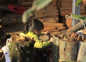 فوائد القرفة للمعدة