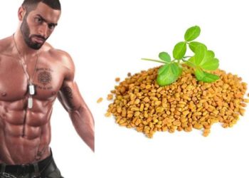 فوائد الحلبة للرجال