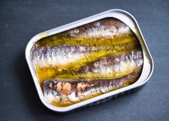 هل السردين المعلب مفيد 