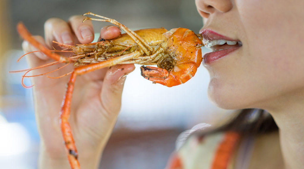 فوائد القريدس للحامل