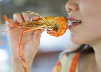 فوائد القريدس للحامل