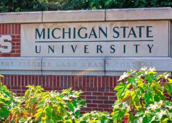 جامعة ولاية ميشيغان