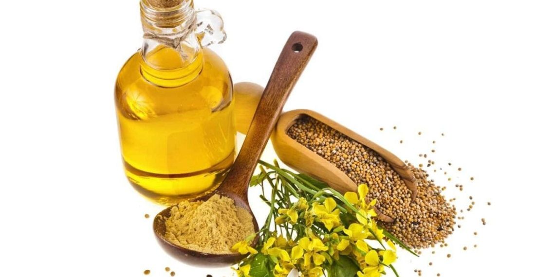 زيت الحلبة لتكبير الثدي