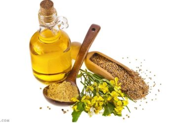 زيت الحلبة لتكبير الثدي