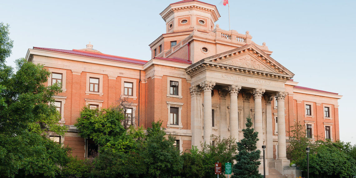 كيف احصل على منحة دراسية مجانية في كندا