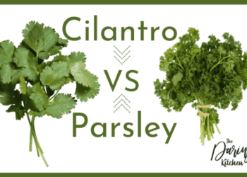 الفرق بين الكزبرة والبقدونس