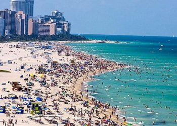 شواطئ أمريكا