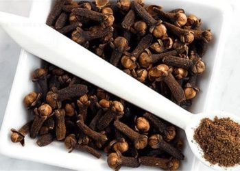 فوائد القرنفل للنساء