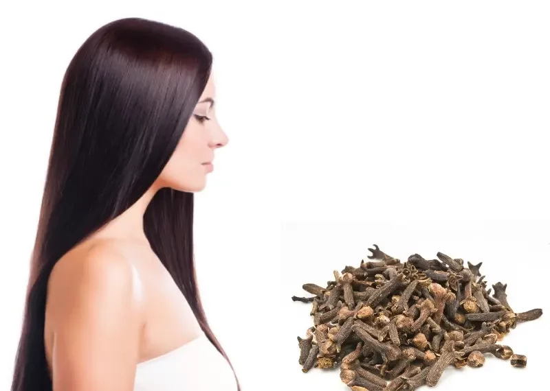 فوائد القرنفل لتساقط الشعر