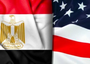 المصريين في أمريكا