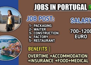رواتب العمل في البرتغال