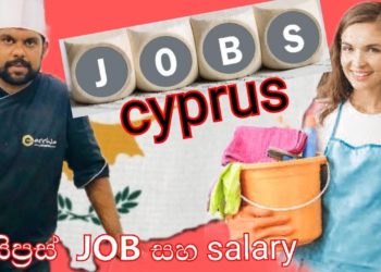 رواتب العمل في قبرص
