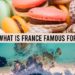 بماذا تشتهر فرنسا؟