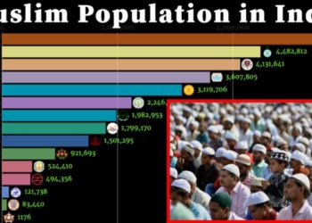 عدد المسلمين في الهند