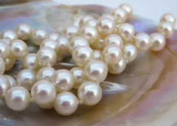 مكتشف اللؤلؤ 