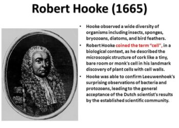 مكتشف الخلية