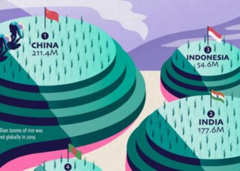 نسبة انتاج الأرز في الصين