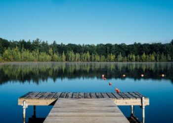 أفضل 9 أماكن للتنزه في مترو ديترويت