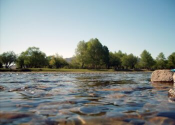 الاشتباه بوفاة طفل نتيجة عدوى نادرة