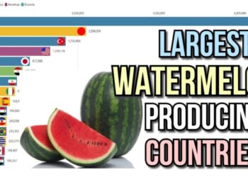 أكثر الدول إنتاجاً للبطيخ
