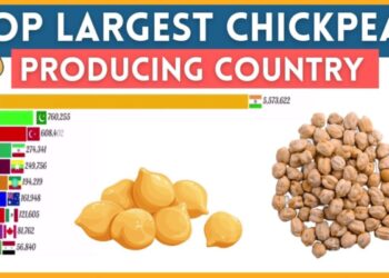 أكثر الدول إنتاجاً للحمص