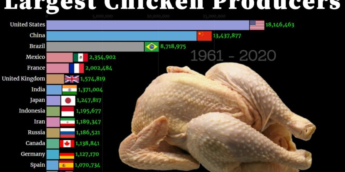 أكثر الدول إنتاجاً للدواجن
