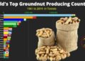 أكثر الدول إنتاجاً للفول السوداني 