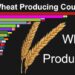 أكثر الدول إنتاجاً للقمح